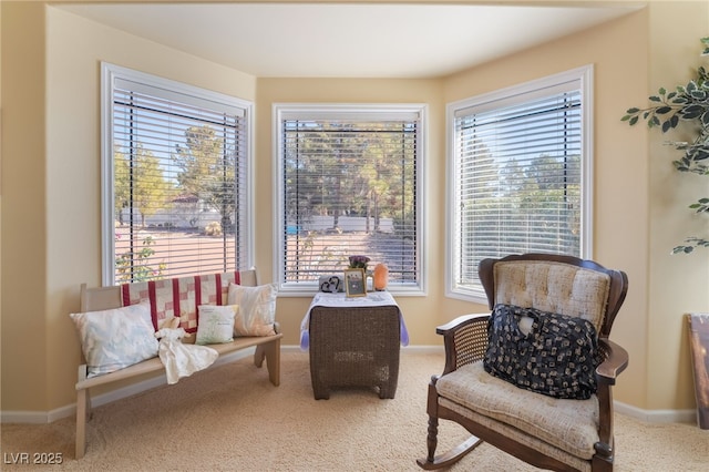 living area with carpet floors and a wealth of natural light