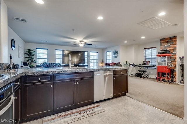 kitchen with dark brown cabinetry, stainless steel appliances, and a wealth of natural light