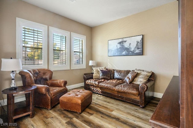 living room featuring baseboards and wood finished floors