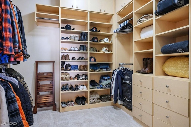 walk in closet with light colored carpet