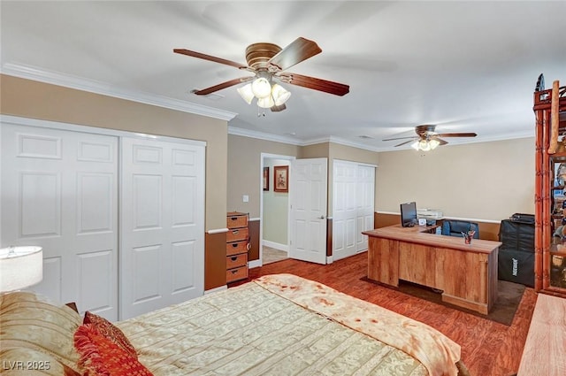 bedroom with hardwood / wood-style floors, ornamental molding, multiple closets, and ceiling fan