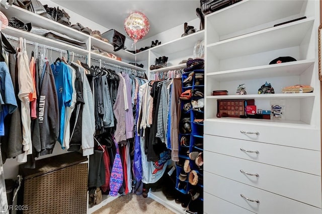 spacious closet featuring carpet floors