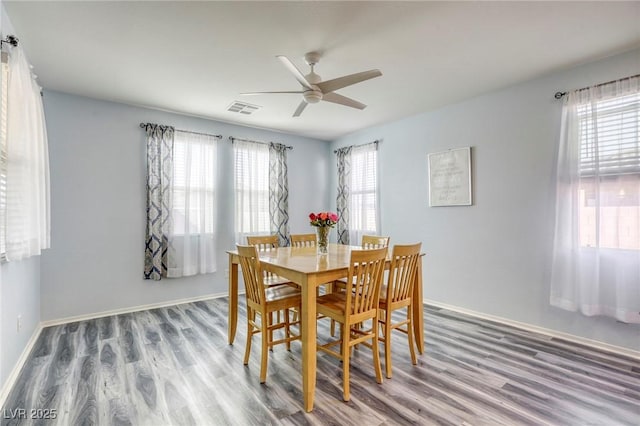 dining room featuring a wealth of natural light, visible vents, wood finished floors, and ceiling fan