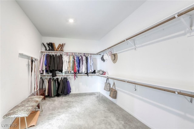 spacious closet with carpet flooring