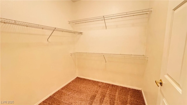 spacious closet with carpet flooring