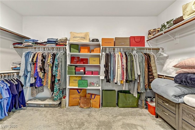 walk in closet featuring carpet flooring