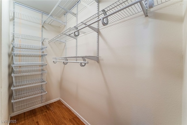 spacious closet with hardwood / wood-style floors