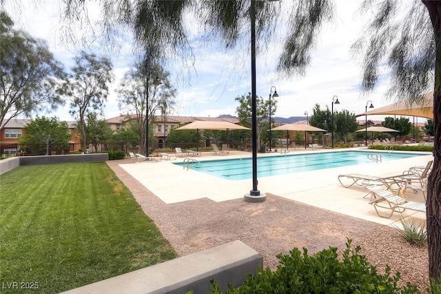 pool with a patio area, a lawn, a gazebo, and fence