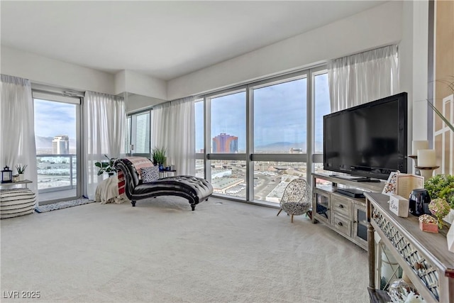 living area featuring light colored carpet