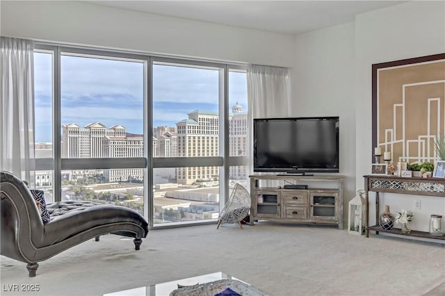 living room with carpet floors