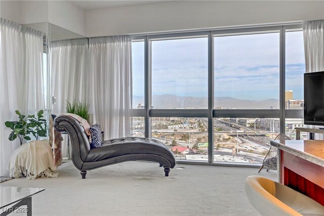 living area featuring carpet and a healthy amount of sunlight