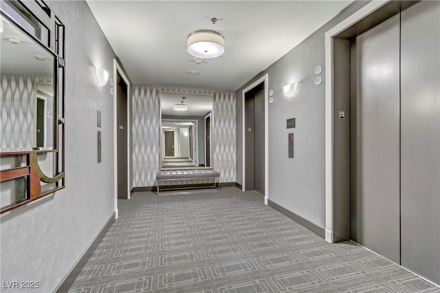 hall featuring carpet floors and elevator