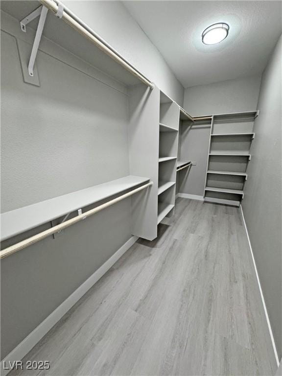 spacious closet featuring light wood-type flooring