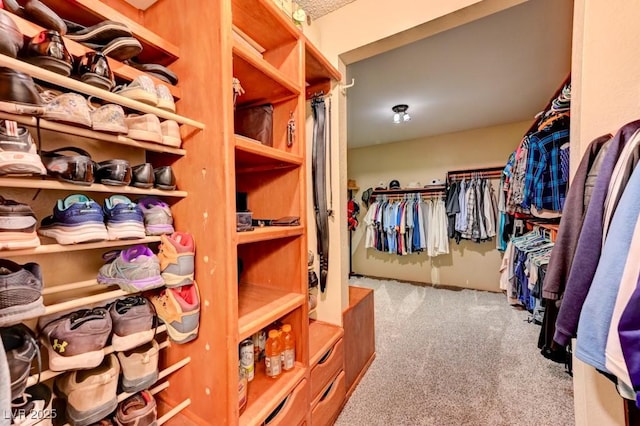 walk in closet with light colored carpet