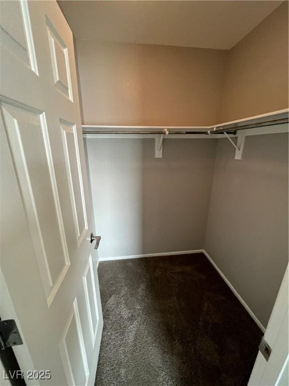 walk in closet with dark carpet