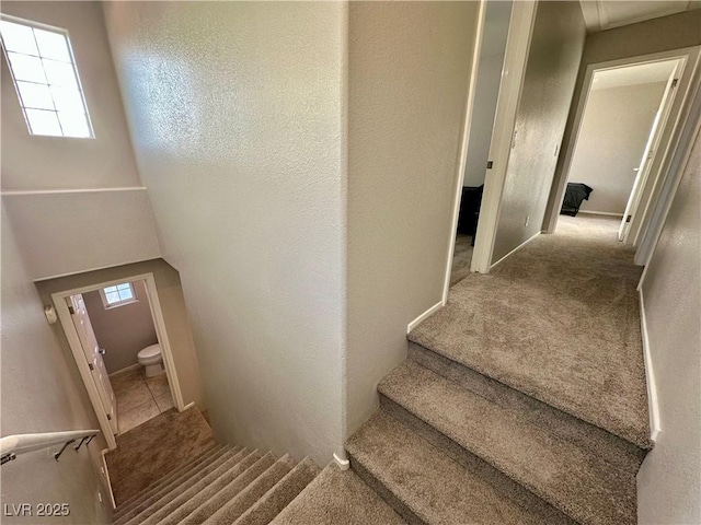 stairs featuring carpet and a wealth of natural light