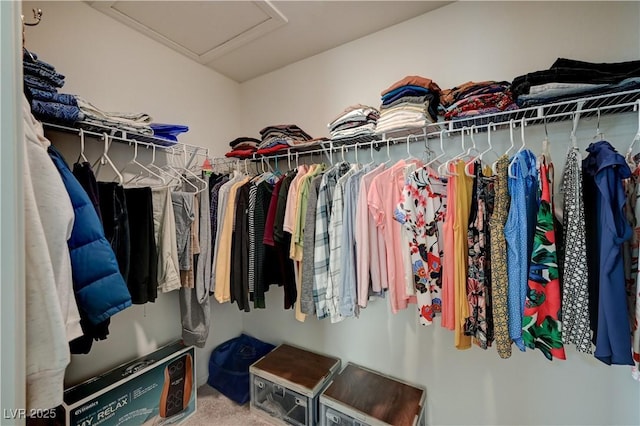 walk in closet featuring carpet flooring