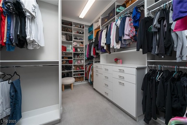 walk in closet with light carpet