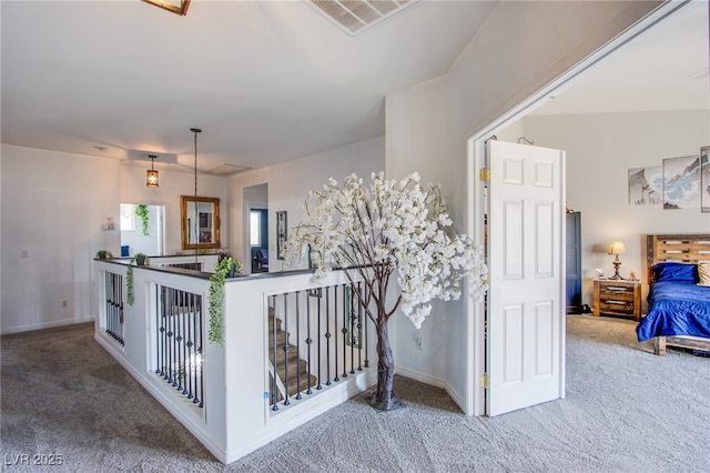 staircase featuring carpet flooring