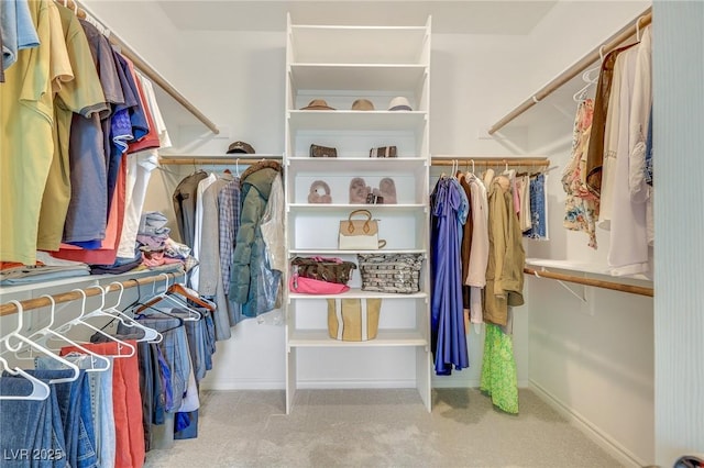 spacious closet with light colored carpet