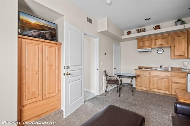 kitchen featuring sink and light colored carpet