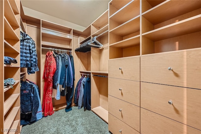 spacious closet with carpet floors