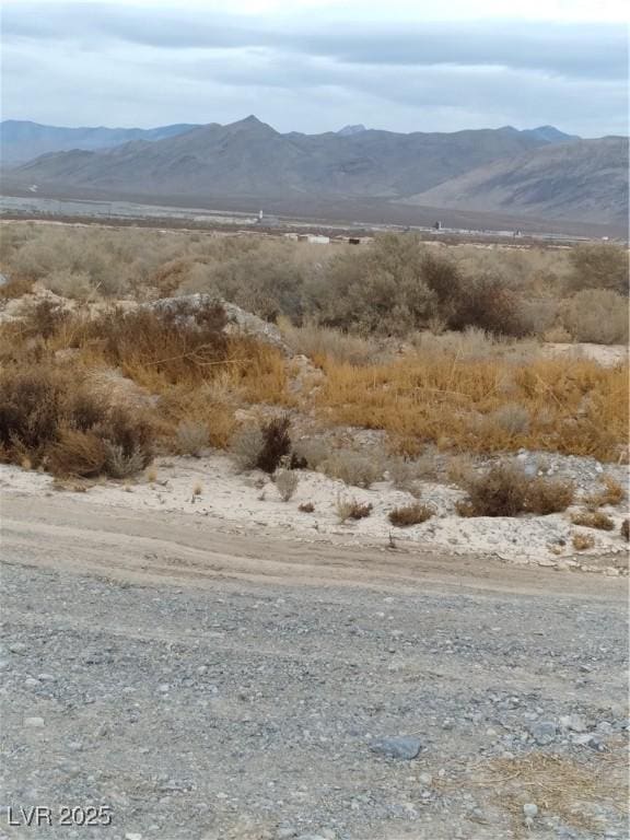 Listing photo 3 for 3981 S Lookout Ave, Pahrump NV 89048