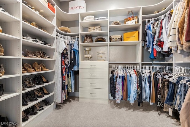 spacious closet featuring carpet floors