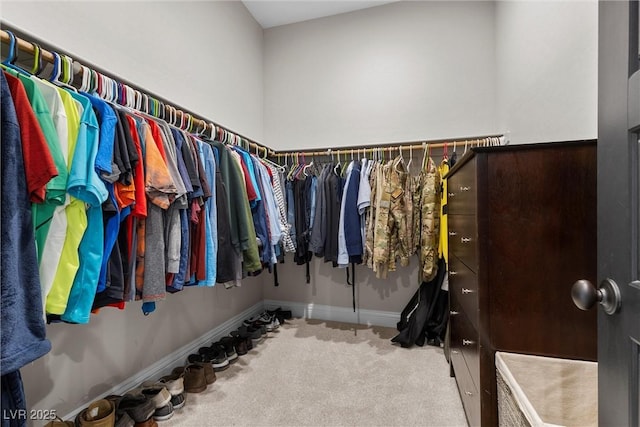 spacious closet featuring carpet