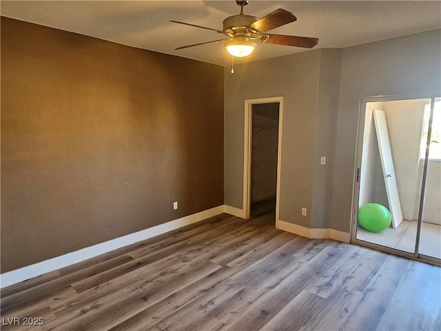 interior space with wood-type flooring, a walk in closet, ceiling fan, and a closet