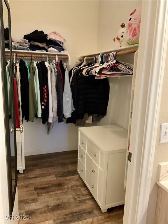 spacious closet with dark hardwood / wood-style flooring