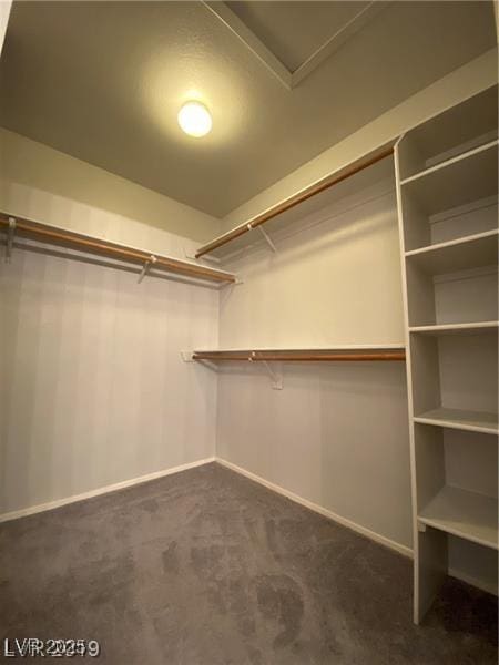 spacious closet featuring dark colored carpet