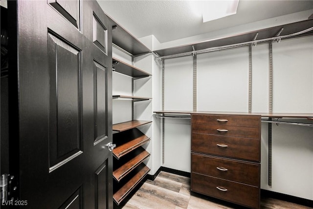 spacious closet featuring light hardwood / wood-style flooring