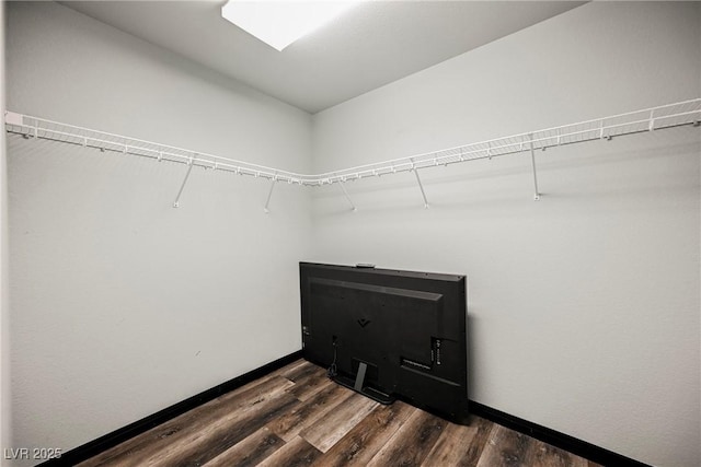 spacious closet featuring dark hardwood / wood-style floors