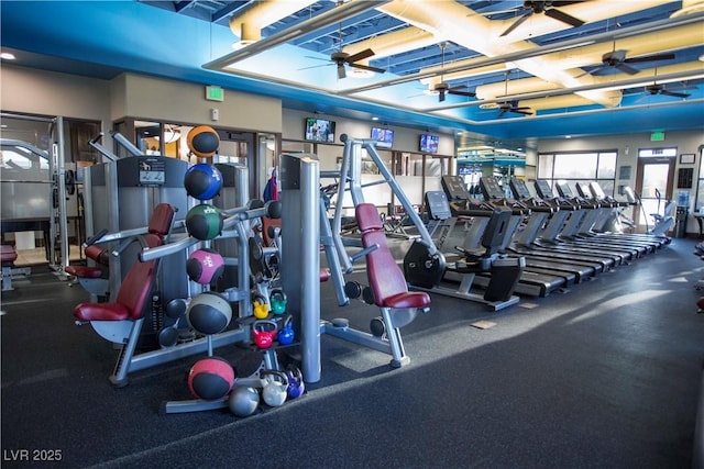 gym featuring ceiling fan