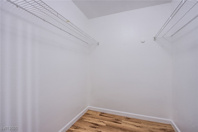 walk in closet with wood-type flooring