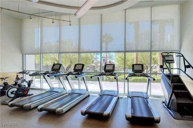 workout area with a wall of windows