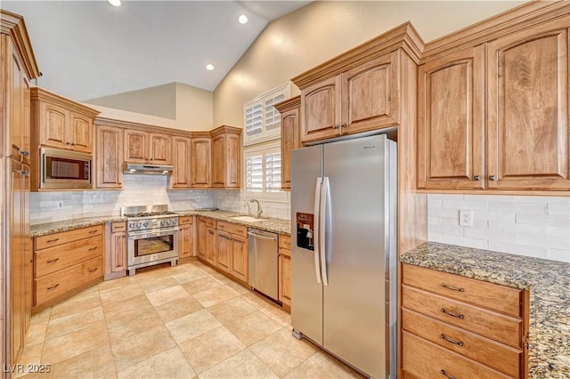 kitchen with vaulted ceiling, appliances with stainless steel finishes, stone countertops, and sink