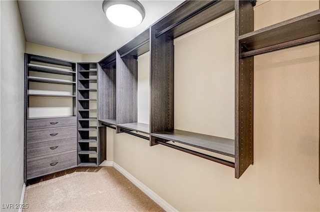 walk in closet featuring carpet flooring