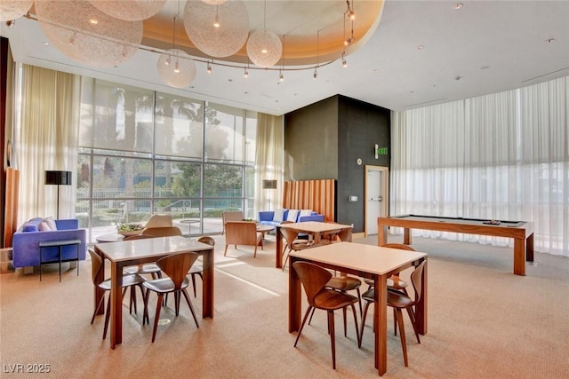 playroom featuring a wall of windows, a raised ceiling, and carpet