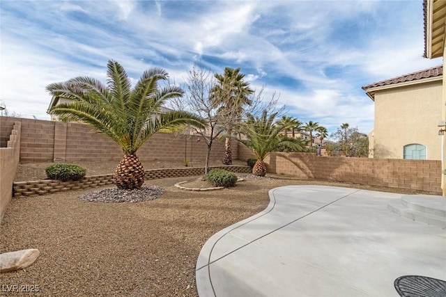 view of yard featuring a patio