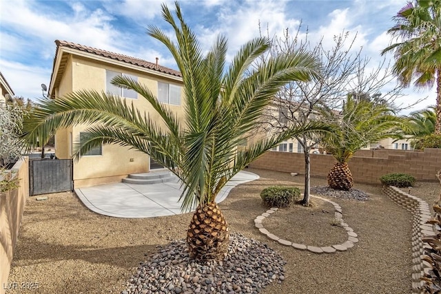 view of yard with a patio