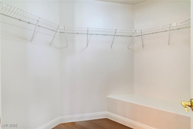 spacious closet with wood-type flooring