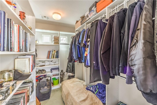 walk in closet featuring carpet flooring