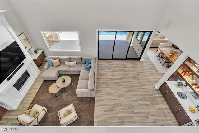 living room featuring a towering ceiling and light wood-type flooring