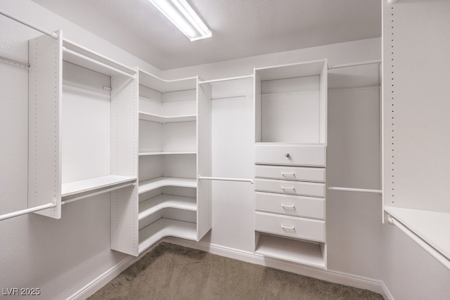 spacious closet with dark carpet