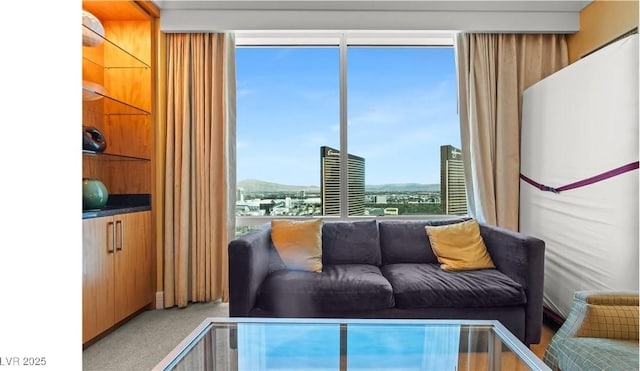 view of carpeted living room