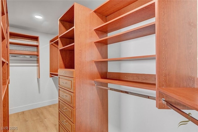 spacious closet featuring light wood-type flooring