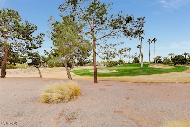 exterior space with a lawn