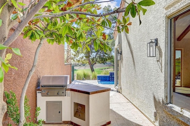 view of patio / terrace with area for grilling and exterior kitchen